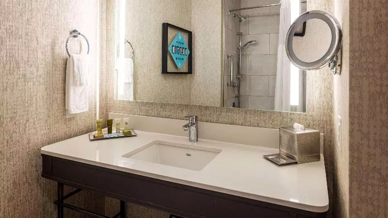 سوئیت با تخت بزرگ, Hilton Austin Airport