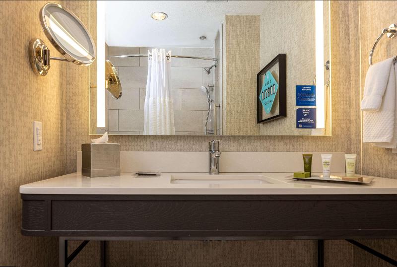 جناح سرير كينج, Hilton Austin Airport