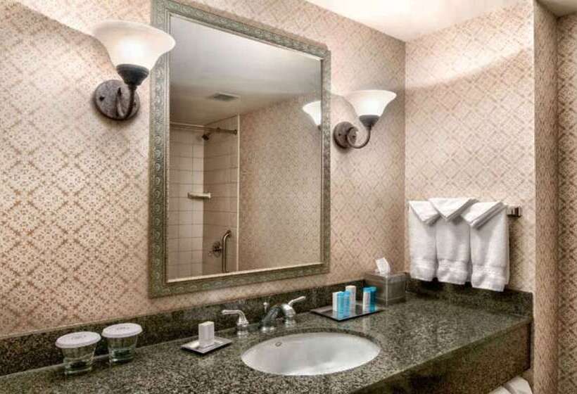 اتاق استاندارد برای معلولان, Hilton Scranton & Conference Center