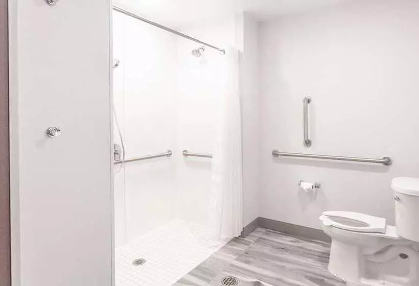 身障者適用スタンダードルーム, Hilton Scranton & Conference Center