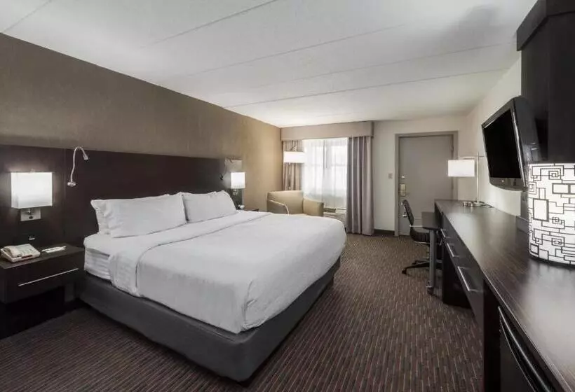 キングサイズベッドのスタンダードルーム, Holiday Inn At Six Flags Saint Louis, An Ihg
