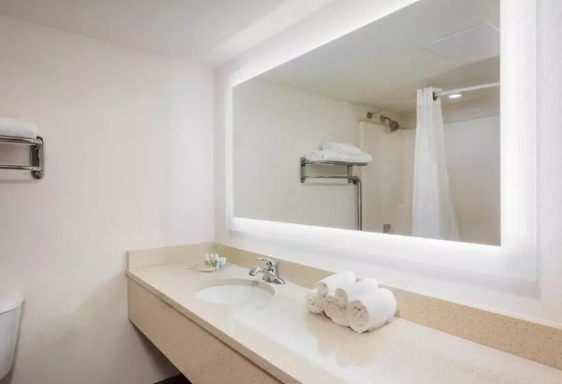 キングサイズベッドのスタンダードルーム, Holiday Inn At Six Flags Saint Louis, An Ihg