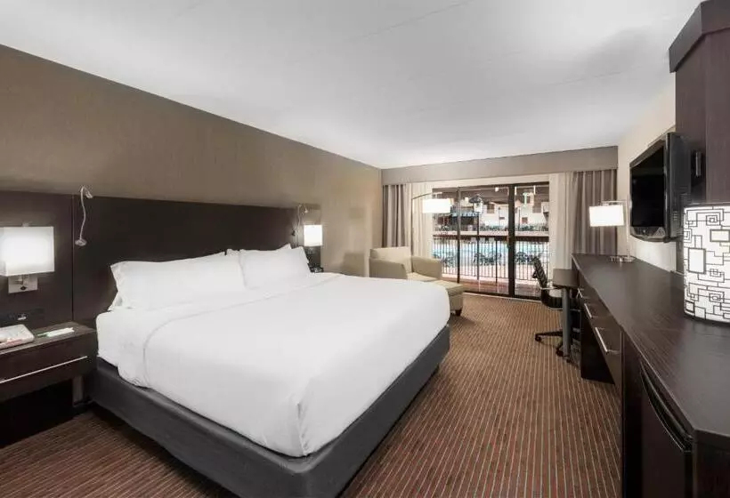 プールビュースタンダードルーム, Holiday Inn At Six Flags Saint Louis, An Ihg