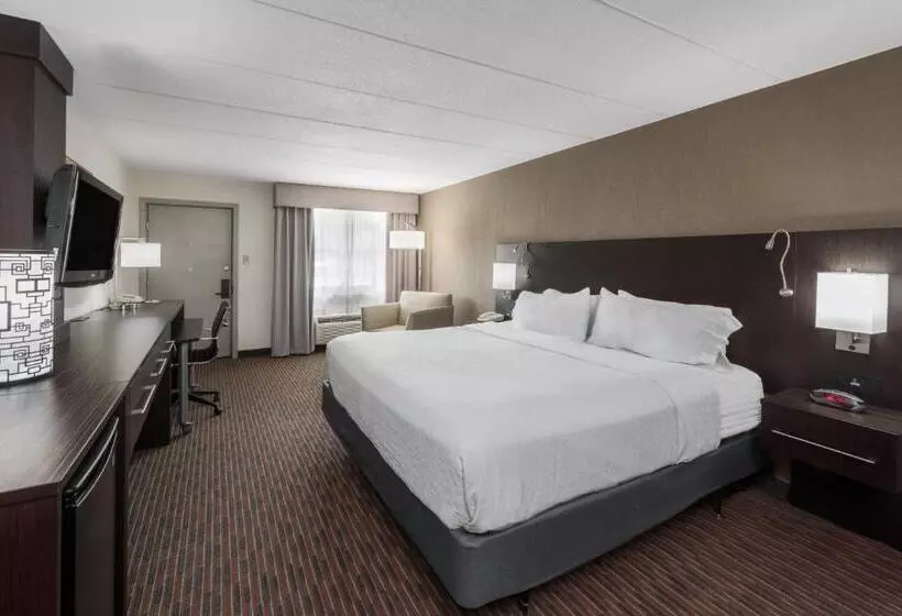 身障者適用キングサイズベッドルーム, Holiday Inn At Six Flags Saint Louis, An Ihg