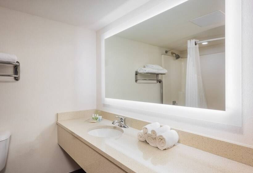 غرفة قياسية, Holiday Inn At Six Flags Saint Louis, An Ihg