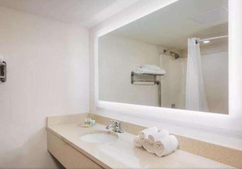 Номер Стандарт Кровать Кинг Адаптированный для Инвалидов, Holiday Inn At Six Flags Saint Louis, An Ihg