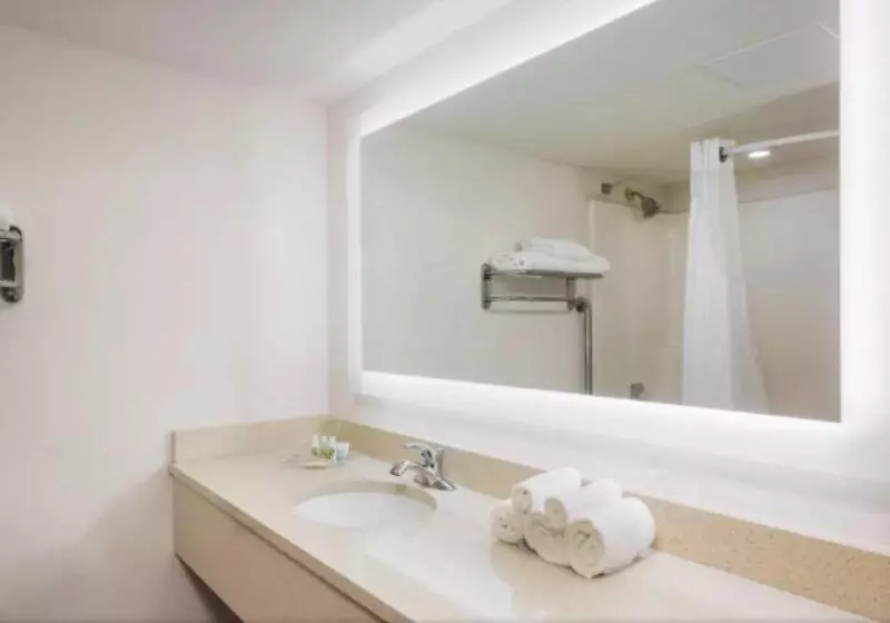 身障者適用キングサイズベッドルーム, Holiday Inn At Six Flags Saint Louis, An Ihg