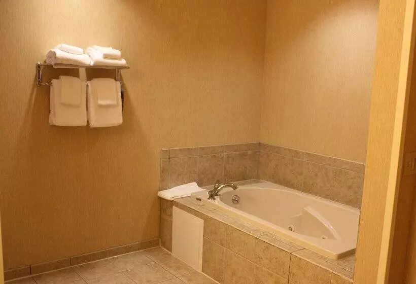 Sviitti, Holiday Inn Express Ludlow Chicopee Area, An Ihg