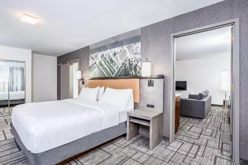 キングサイズベッドのエクゼクティブ, Holiday Inn Lafayette City Centre, An Ihg