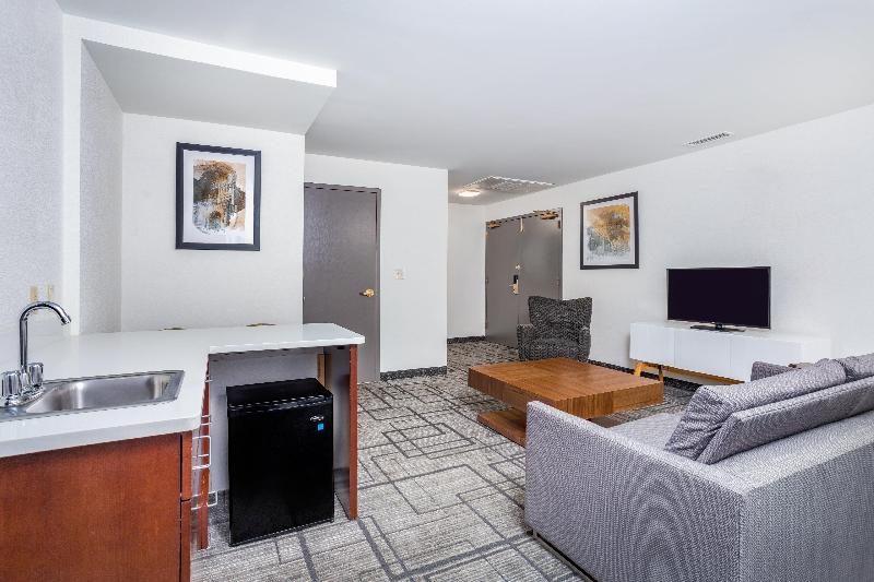 سوئیت اجرایی با تخت کینگ, Holiday Inn Lafayette City Centre, An Ihg