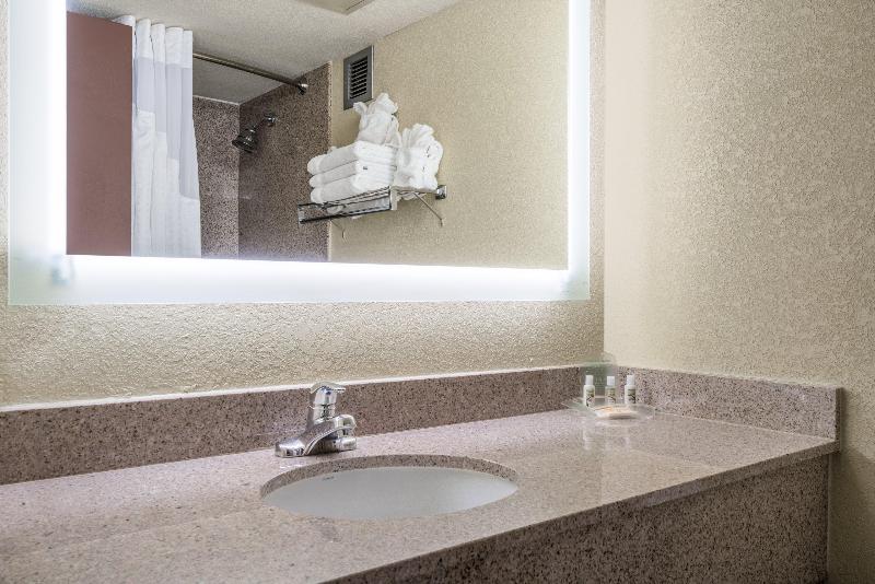 Standard Szoba King Size Bed, Holiday Inn Morgantown   Reading Area, An Ihg