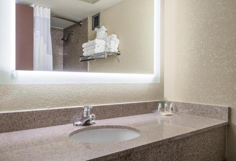 Standard Szoba, Holiday Inn Morgantown   Reading Area, An Ihg