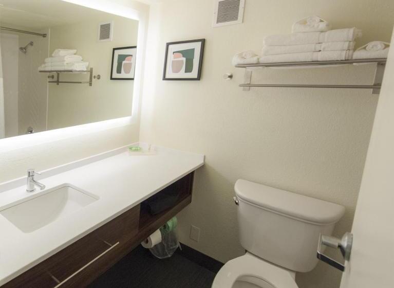 Standard Szoba King Size Bed, Holiday Inn Morgantown   Reading Area, An Ihg