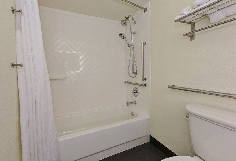 Номер Стандарт Адаптированный для Инвалидов, Holiday Inn Morgantown   Reading Area, An Ihg