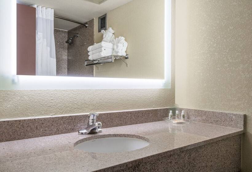 Mozgáskorlátozott Standard Szoba, Holiday Inn Morgantown   Reading Area, An Ihg