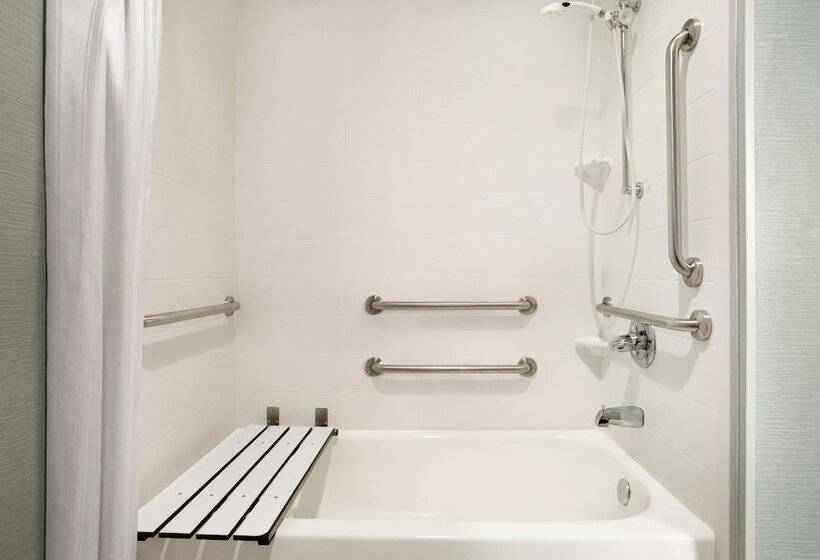 جناح لذوى الاحتياجات الخاصة, Homewood Suites By Hilton Houstonwillowbrook Mall