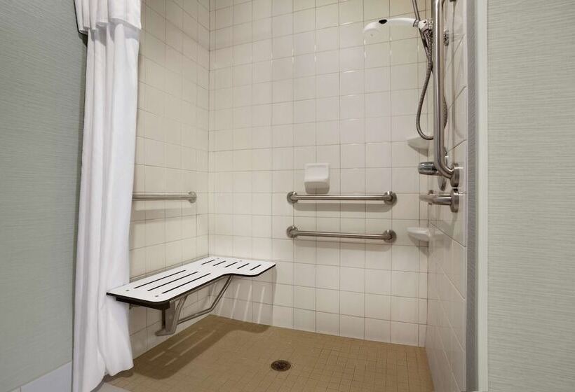 جناح لذوى الاحتياجات الخاصة, Homewood Suites By Hilton Houstonwillowbrook Mall
