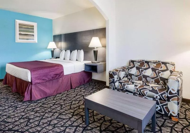 キングサイズベッドのスイートルーム, Quality Inn Buffalo