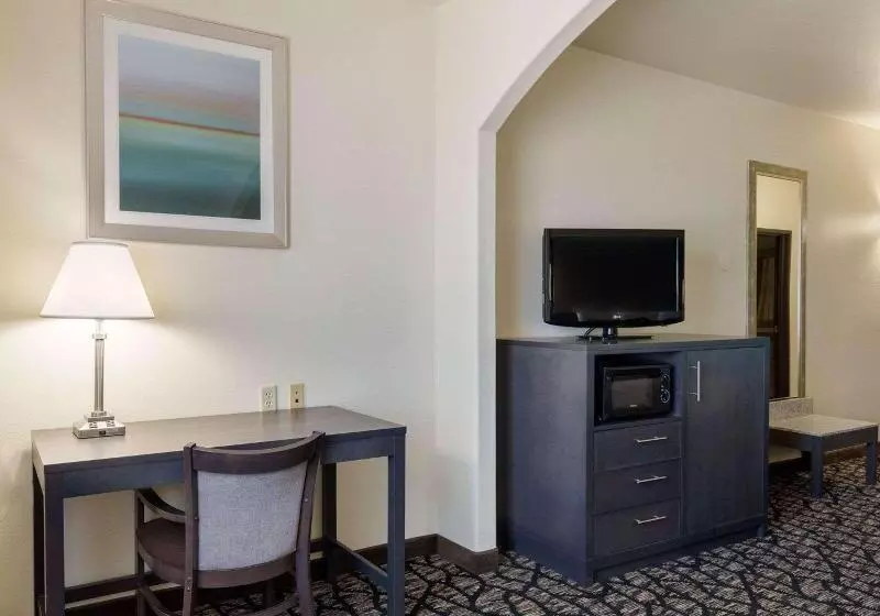 キングサイズベッドのスイートルーム, Quality Inn Buffalo