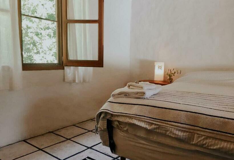 スタンダードルーム, Hostería De Montaña Las Pataguas