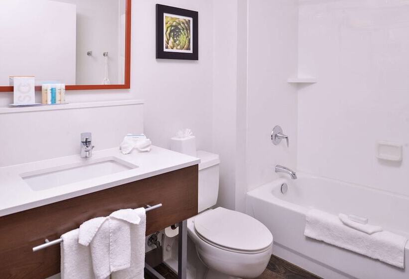 Номер Стандарт 2 Двуспальные Кровати, Hampton Inn Albuquerqueuniversity/midtown