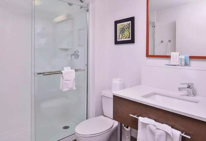 身障者適用スタンダードルーム, Hampton Inn Albuquerqueuniversity/midtown