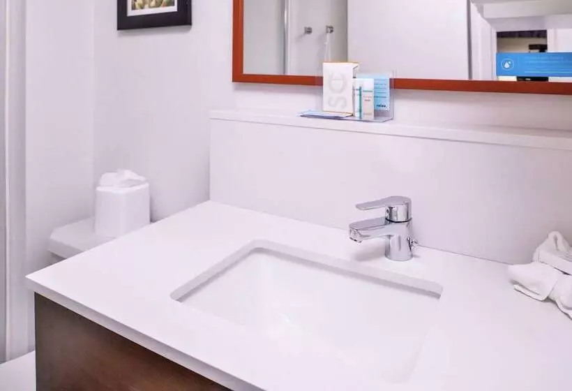 身障者適用スタンダードルーム, Hampton Inn Albuquerqueuniversity/midtown