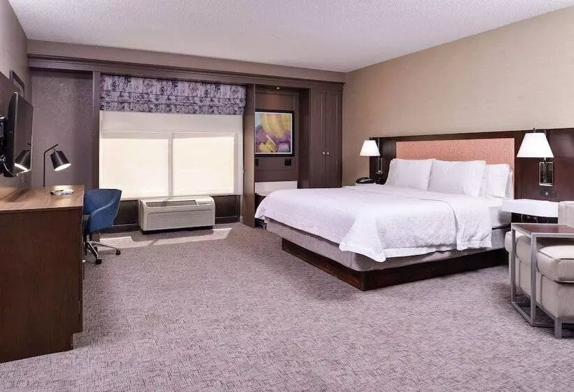 身障者適用スタンダードルーム, Hampton Inn Albuquerqueuniversity/midtown