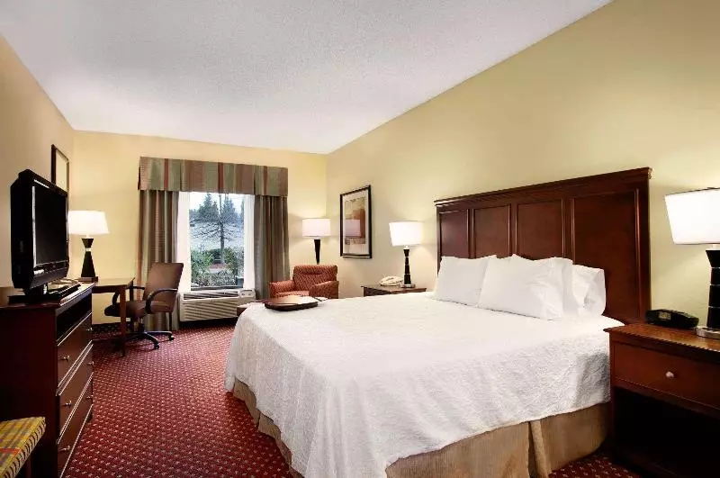 キングサイズベッドのスタンダードルーム, Hampton Inn Atlantastockbridge