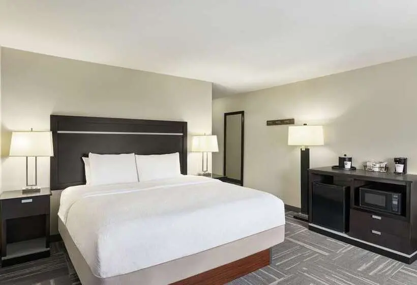 キングサイズベッドのスタンダードルーム, Hampton Inn Atlantastockbridge