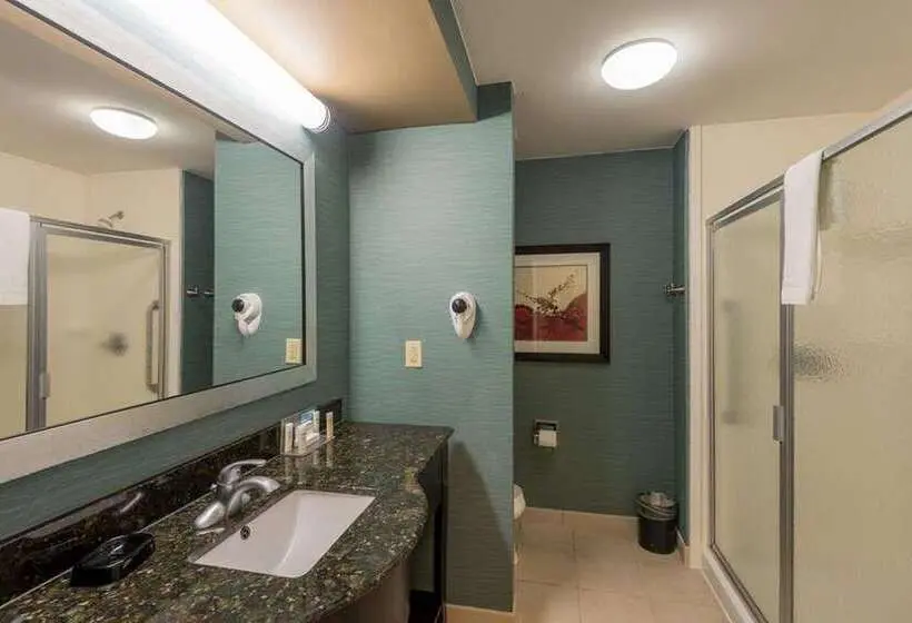 キングサイズベッドのスタンダードルーム, Hampton Inn Atlantastockbridge