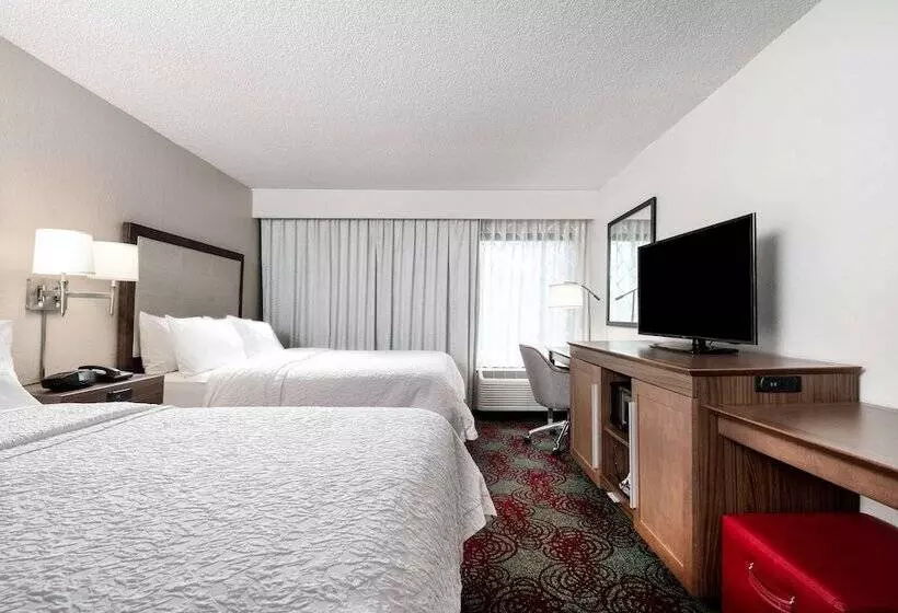 スタンダードルーム, Hampton Inn Debary/deltona