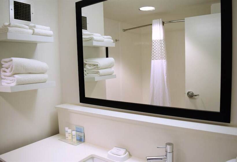 غرفة قياسية, Hampton Inn Debary/deltona