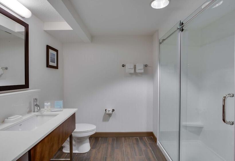 Номер Стандарт, Hampton Inn Debary/deltona