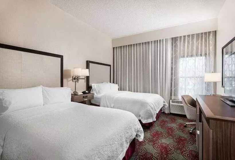 身障者適用スタンダードルーム, Hampton Inn Debary/deltona