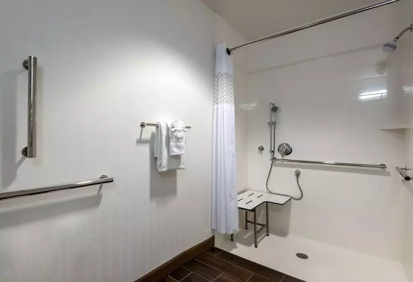 身障者適用スタンダードルーム, Hampton Inn Debary/deltona