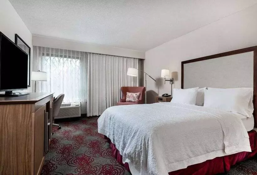 身障者適用スタンダードルーム, Hampton Inn Debary/deltona
