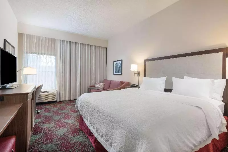 キングサイドベッドのスタンダードワンルーム, Hampton Inn Debary/deltona