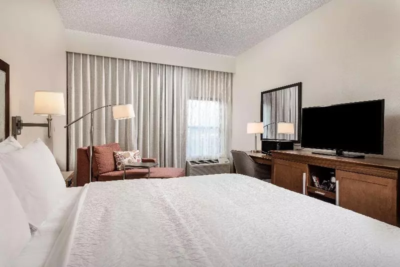 キングサイズベッドのスタンダードルーム, Hampton Inn Debary/deltona