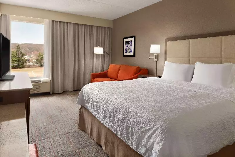 スタンダードルーム, Hampton Inn Denville / Rockaway / Parsippany