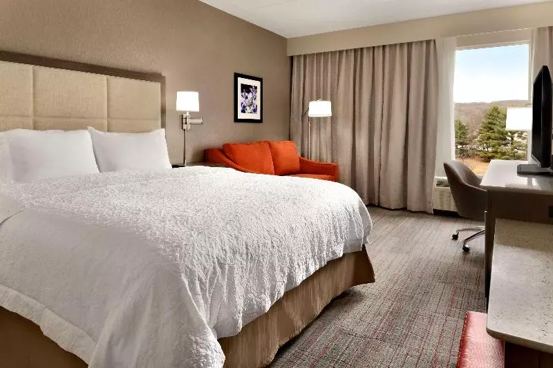 スタンダードルーム, Hampton Inn Denville / Rockaway / Parsippany