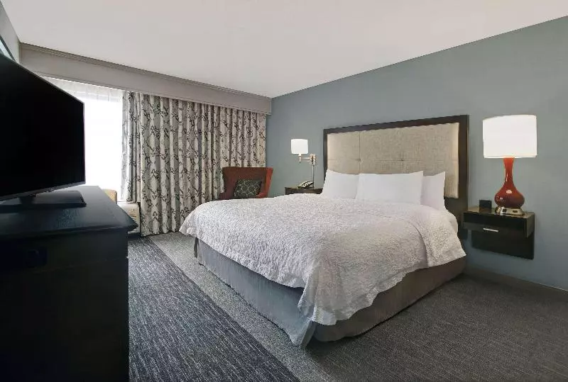 اتاق استاندارد با تخت بزرگ برای معلولان, Hampton Inn Greenville I 385   Woodruff Rd