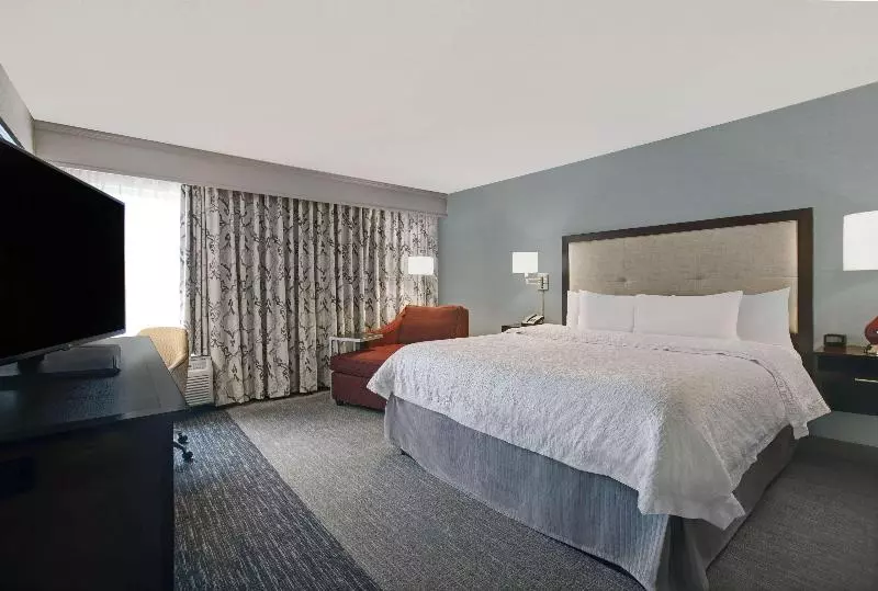 اتاق استاندارد با تخت بزرگ برای معلولان, Hampton Inn Greenville I 385   Woodruff Rd