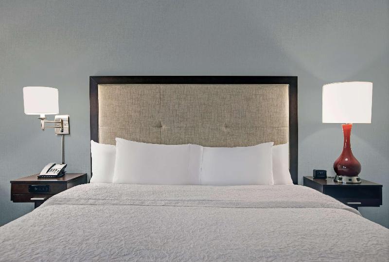 장애인을 위한 킹사이즈 침대 스탠다드 룸, Hampton Inn Greenville I 385   Woodruff Rd