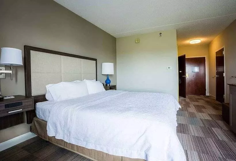 身障者適用キングサイズベッドルーム, Hampton Inn Somerset