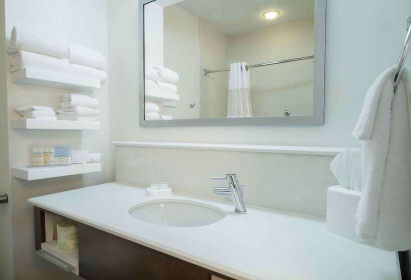 Номер Стандарт 2 Двуспальные Кровати, Hampton Inn South Haven