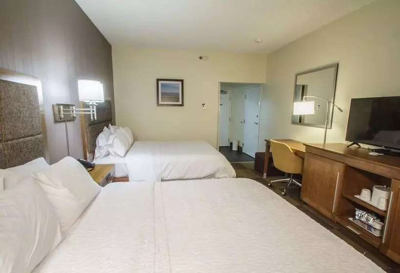 ２ダブルベッドのスタンダードルーム, Hampton Inn South Haven