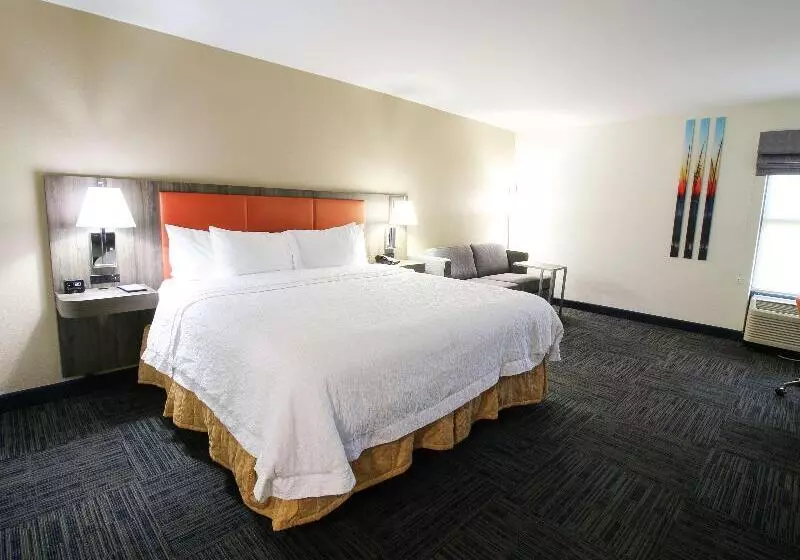 キングサイズベッドのスタンダードルーム, Hampton Inn St. Augustine I95