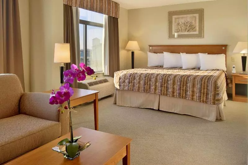 キングサイドベッドのスタンダードワンルーム, Hampton Inn St. Augustine I95