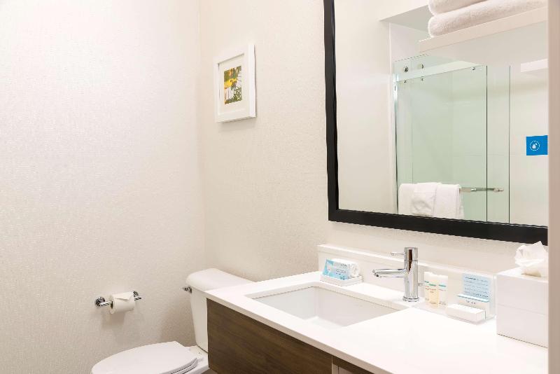 Студио Стандарт Кровать Кинг, Hampton Inn & Suites East Lansing/okemos